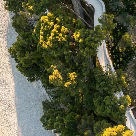 Hotel Bluesun Mala Berulia