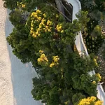 Hotel Bluesun Mala Berulia