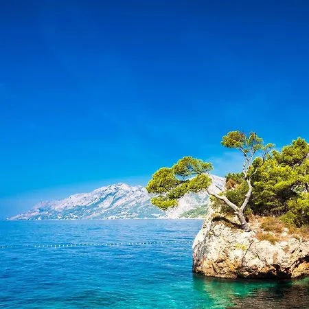 Bluesun Mala Berulia 4* Brela