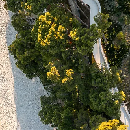 Ξενοδοχείο Bluesun Mala Berulia