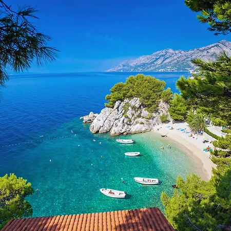 Bluesun Mala Berulia