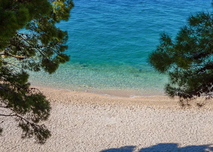 Bluesun Mala Berulia Отель 4*