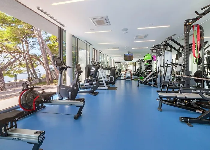 Bluesun Mala Berulia 4* Брела