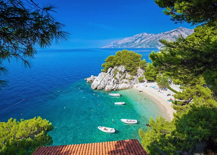 Bluesun Mala Berulia